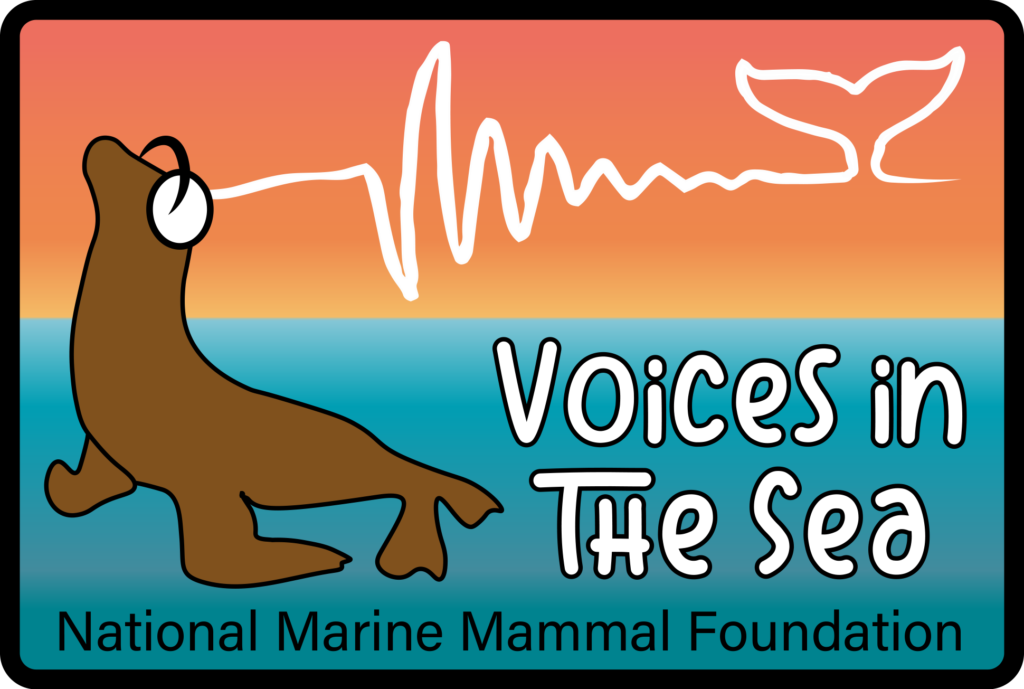 NMMF Voices in the Sea Workshop