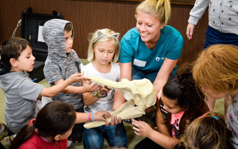 Read more about the article Urgent Message from our CEO: Dolphin Doctor Youth Program Funds Terminated