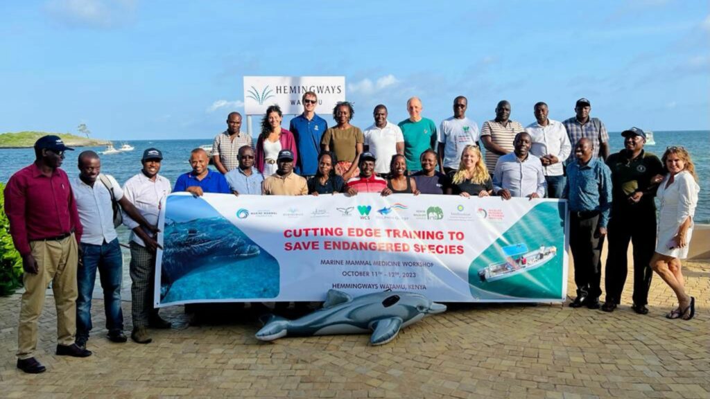 Read more about the article Operation GRACE Empowers Kenyan Communities in Marine Mammal Conservation Efforts