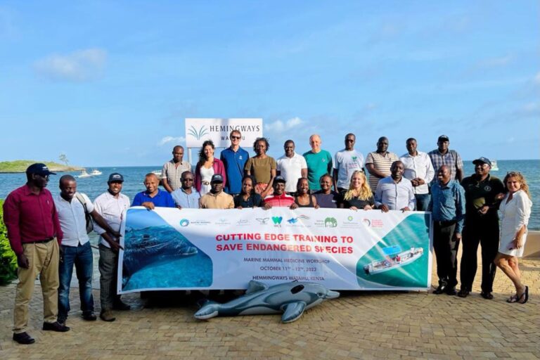 Read more about the article Operation GRACE Empowers Kenyan Communities in Marine Mammal Conservation Efforts