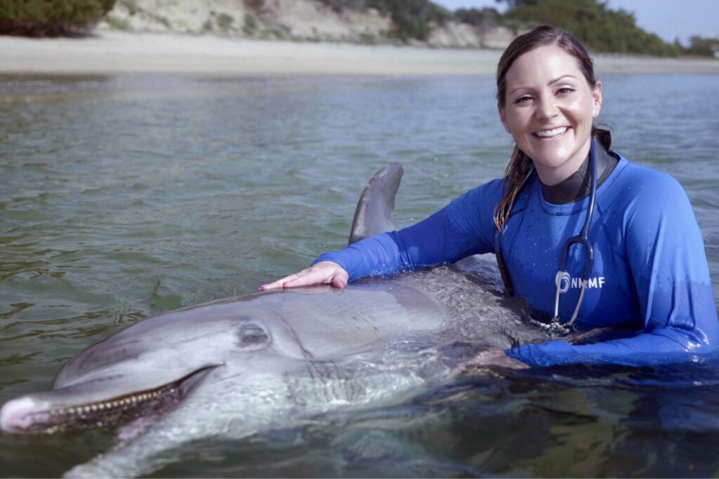 Read more about the article Researchers carry out first peer-reviewed study of fecal microbiota transplants in dolphins