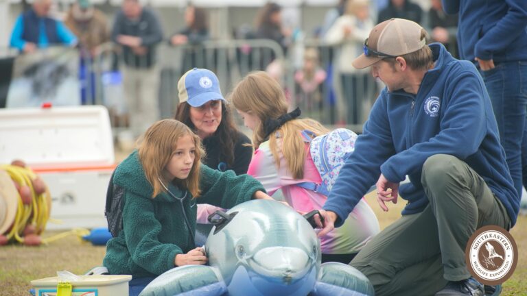 Read more about the article Cetacean Celebration: ONR Sponsors Family-Friendly Dolphin Workshops in South Carolina