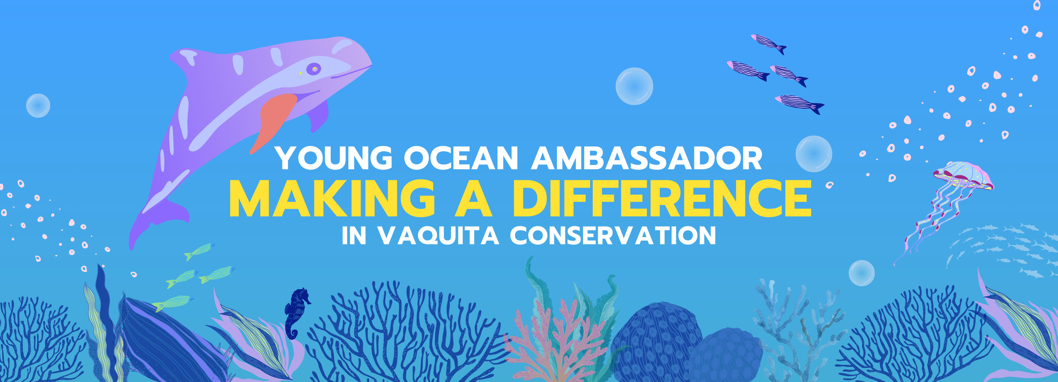 Young vaquita conservationist blog -Banner - NMMF