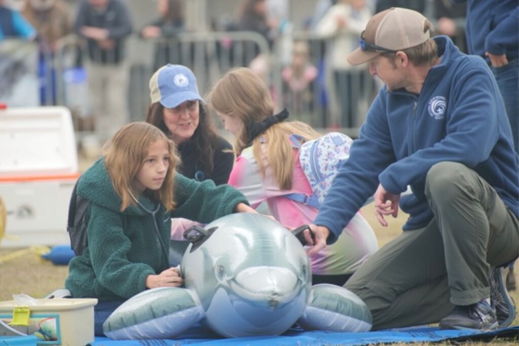 Read more about the article Cetacean Celebration: ONR Sponsors Family-Friendly Dolphin Workshops in South Carolina