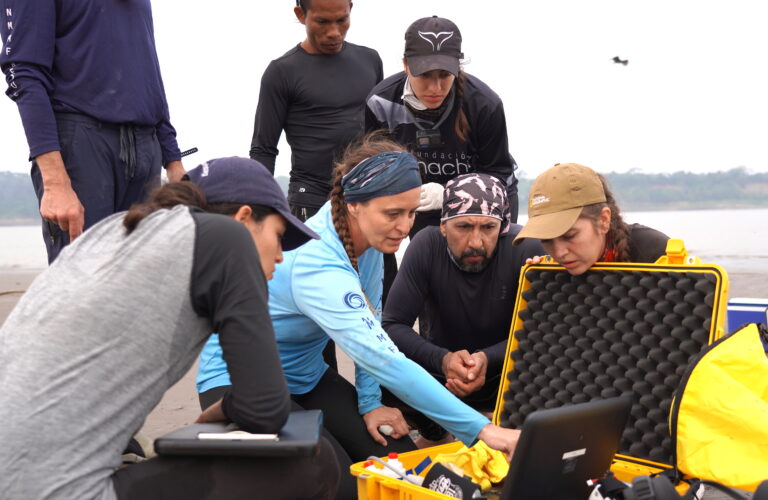 River Dolphin Health Assessments Advance One Health Goals and Drive Conservation in the Colombian Amazon