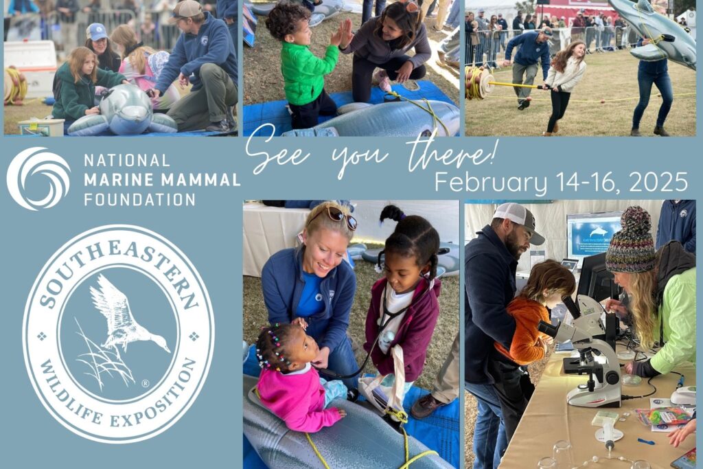 Read more about the article The NMMF returns to the Southeastern Wildlife Exposition (SEWE) in Charleston, SC in 2025 – Here’s Everything You Need to Know