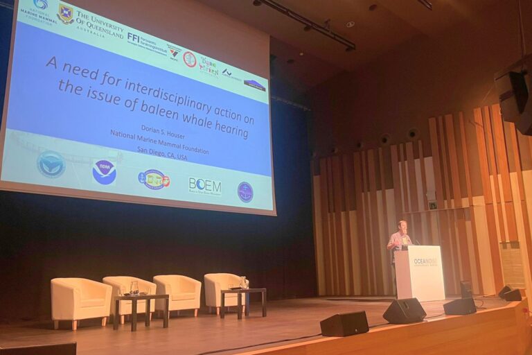 OCEANOISE2026 DECLARATION: A Call for Immediate Action on Ocean Noise