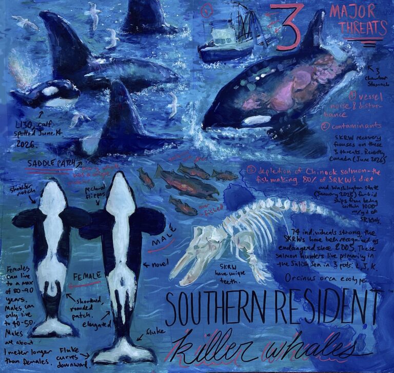 Conservation of the Southern Resident Killer Whales is An Evolving Effort