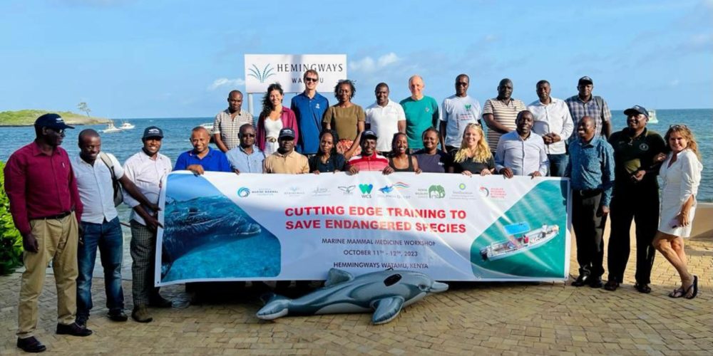 2023 Kenya-Marine-Mammal-Medicine-Workshop