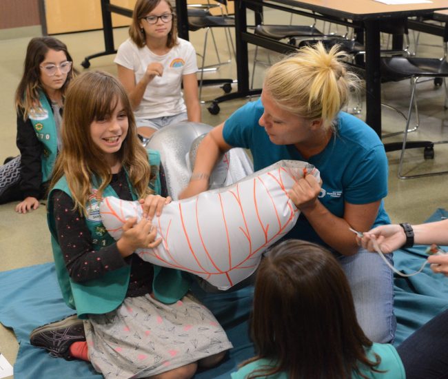 Dolphin Doctor Workshop