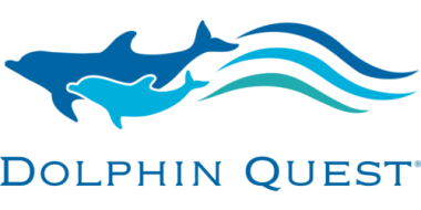 Dolphin Quest Logo