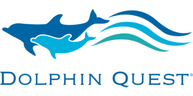 Dolphin Quest Logo