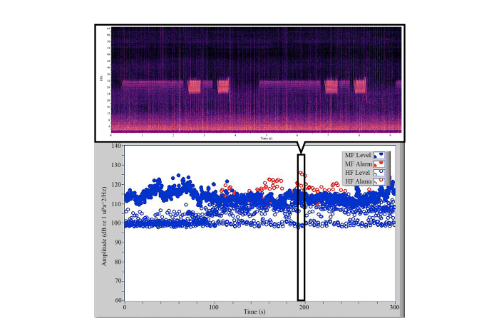 Moderate anthropogenic noise exposure does not affect Navy bottlenose dolphin (Tursiops truncatus) whistle rates; BLOG: Bottlenose Dolphins Communicating Through the Noise