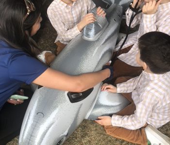 Children dive into the role of dolphin doctors, mastering tools and techniques for marine mammal care.