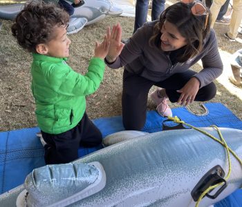 A young ocean ambassador learns the essentials of becoming a dolphin doctor, embracing compassion and conservation at the NMMF Field Laboratory.