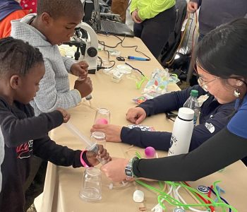 The NMMF's Community Engagement team captivates young participants with hands-on science experiences showcasing the underwater adaptations of marine mammals.