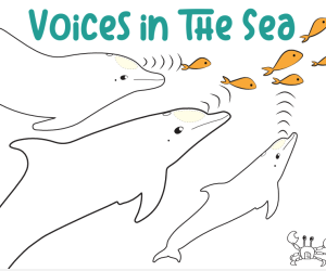 NMMF Voices in the Sea STEM Workshop